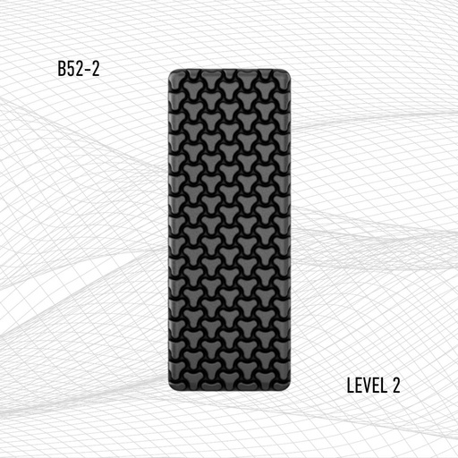 [B52-2] SAS-TEC® B52-2 Back Protector Level 2